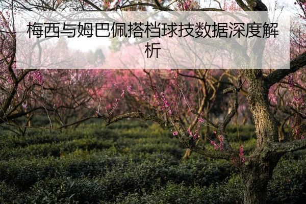 梅西与姆巴佩搭档球技数据深度解析